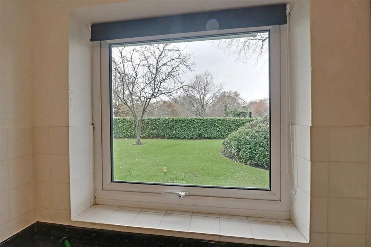 Hollybush Hill, Snaresbrook, E11, photo 16