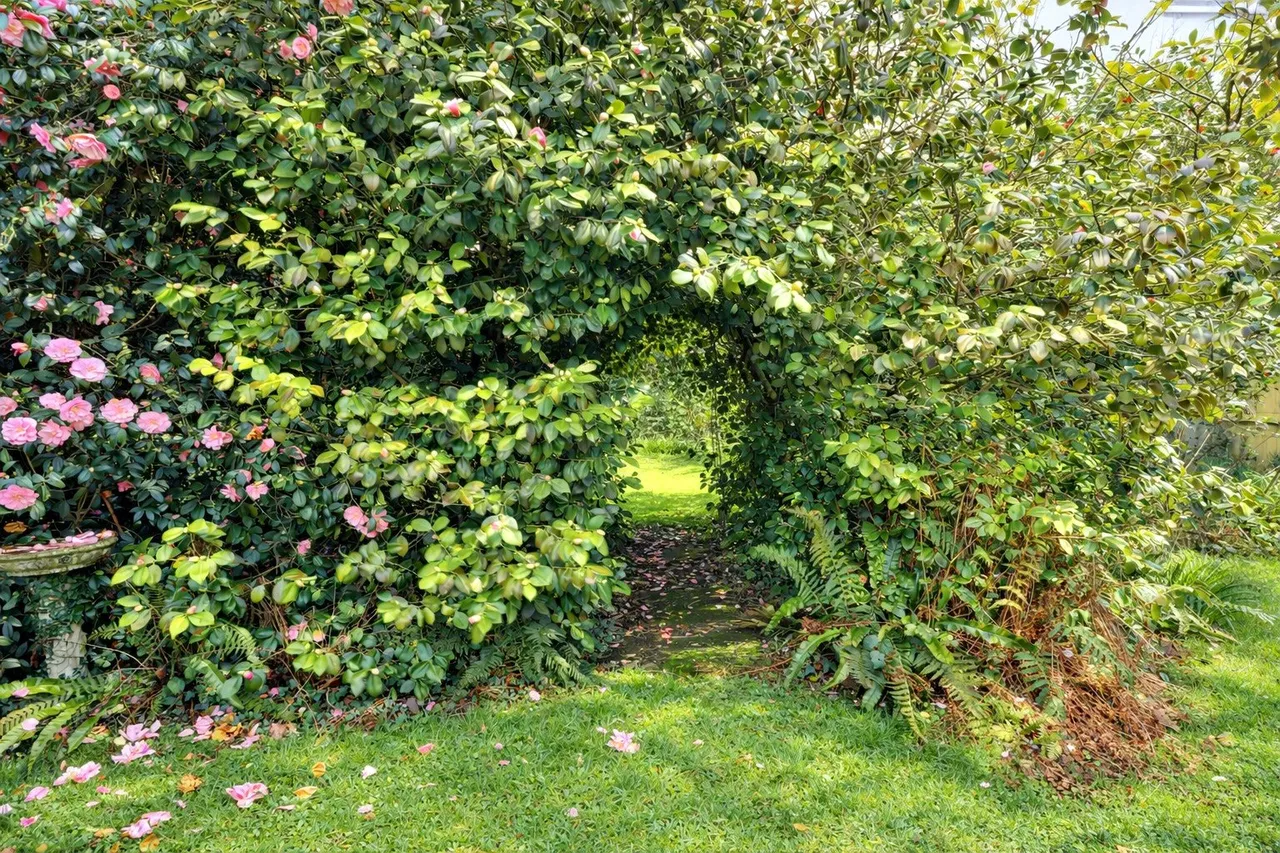 Goodleigh Road, Barnstaple, EX32, photo 13