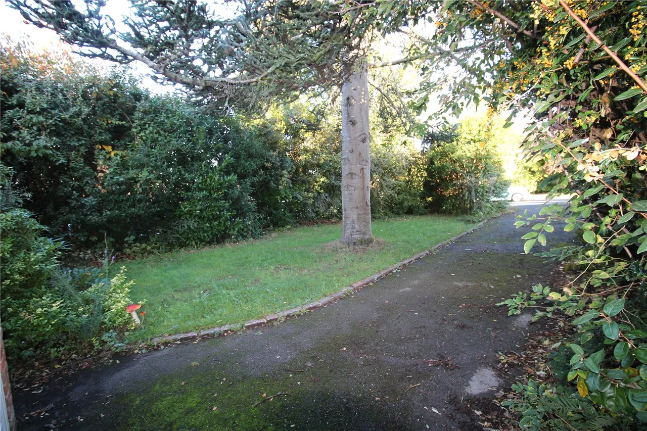 Forest Row, RH18, photo 12