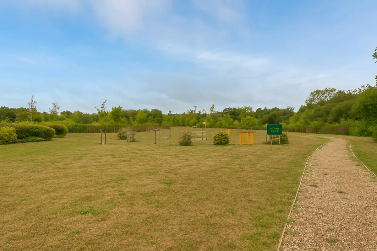 Sycamore Road, Cranleigh, GU6, photo 29