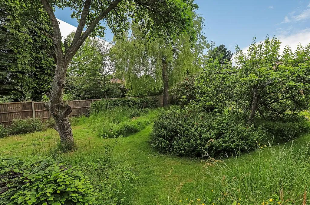 Links Lane, Rowland's Castle, photo 14