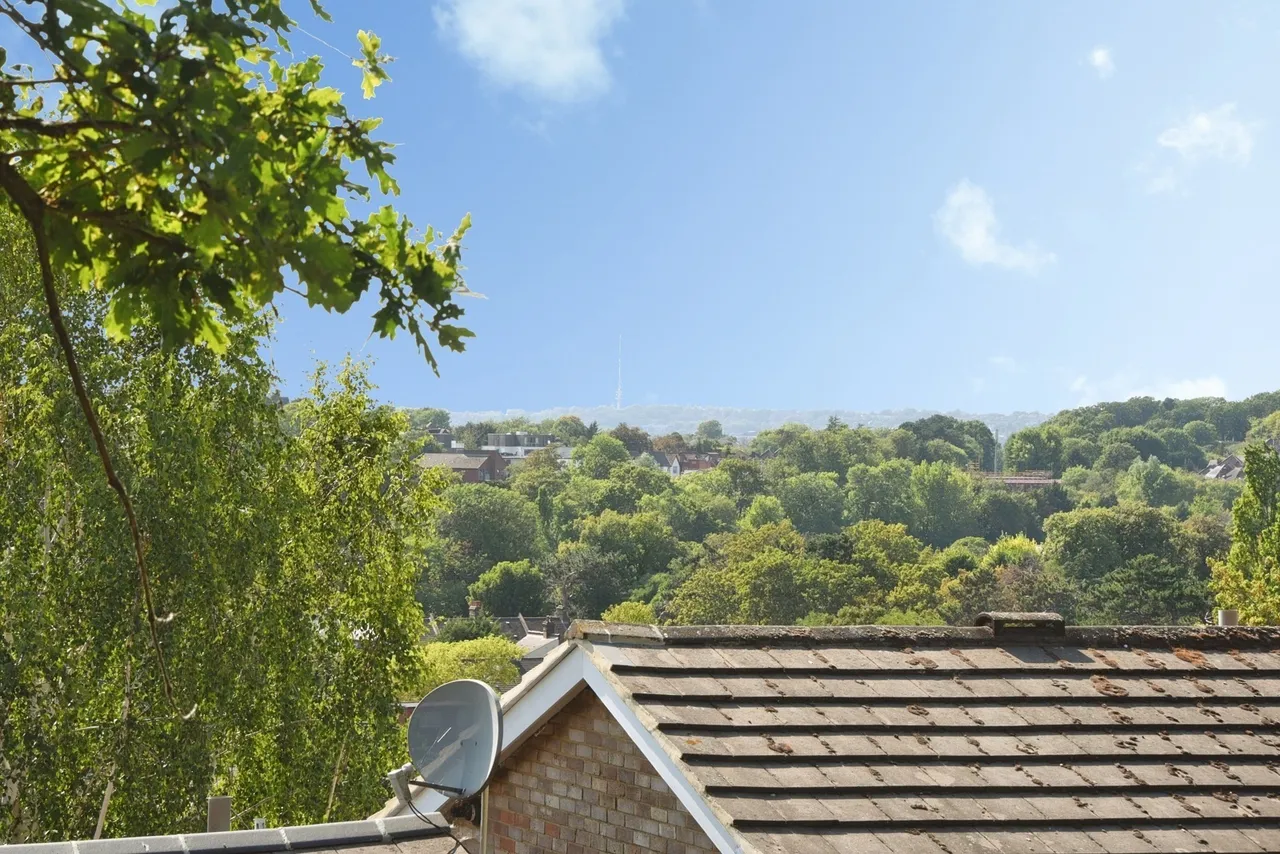 Highland Road, Shortlands/Bromley, BR1, photo 17