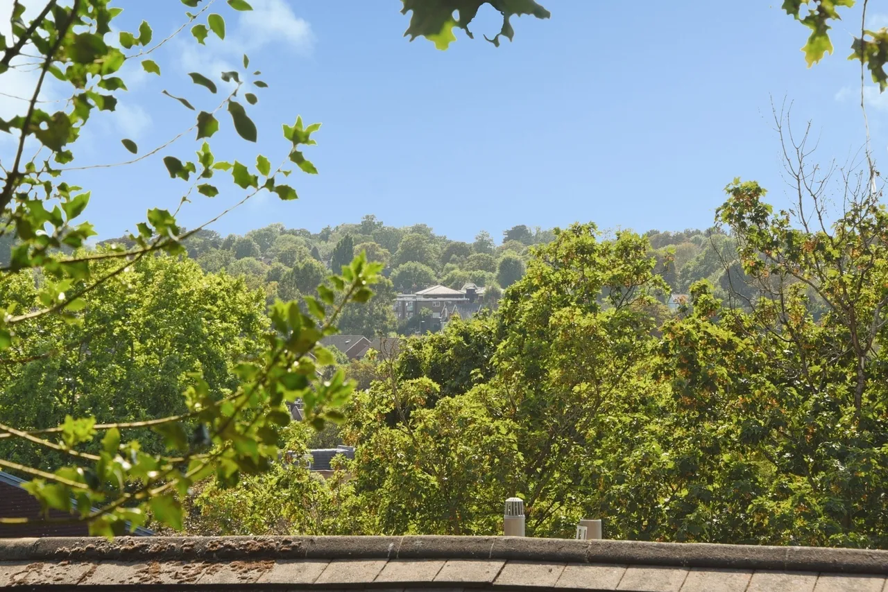 Highland Road, Shortlands/Bromley, BR1, photo 22