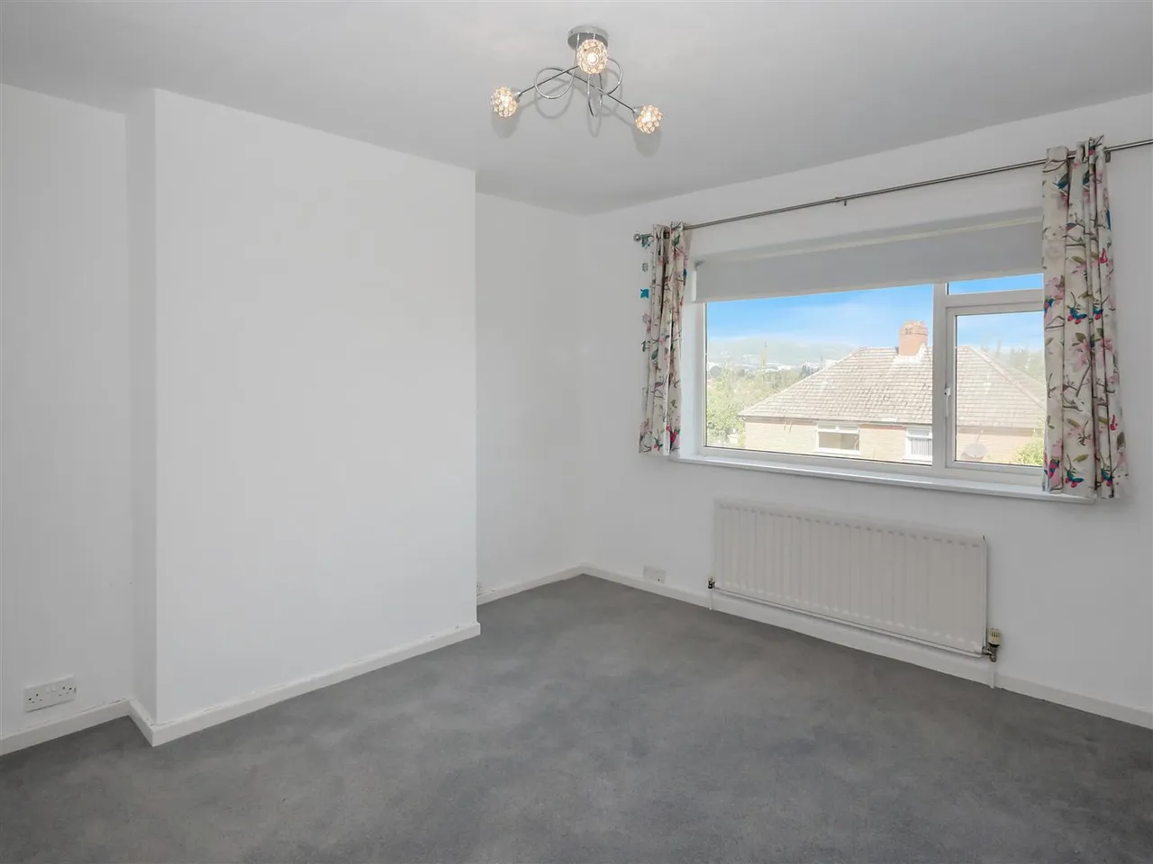 Willowbank Drive, Rosetta, BT6, photo 15