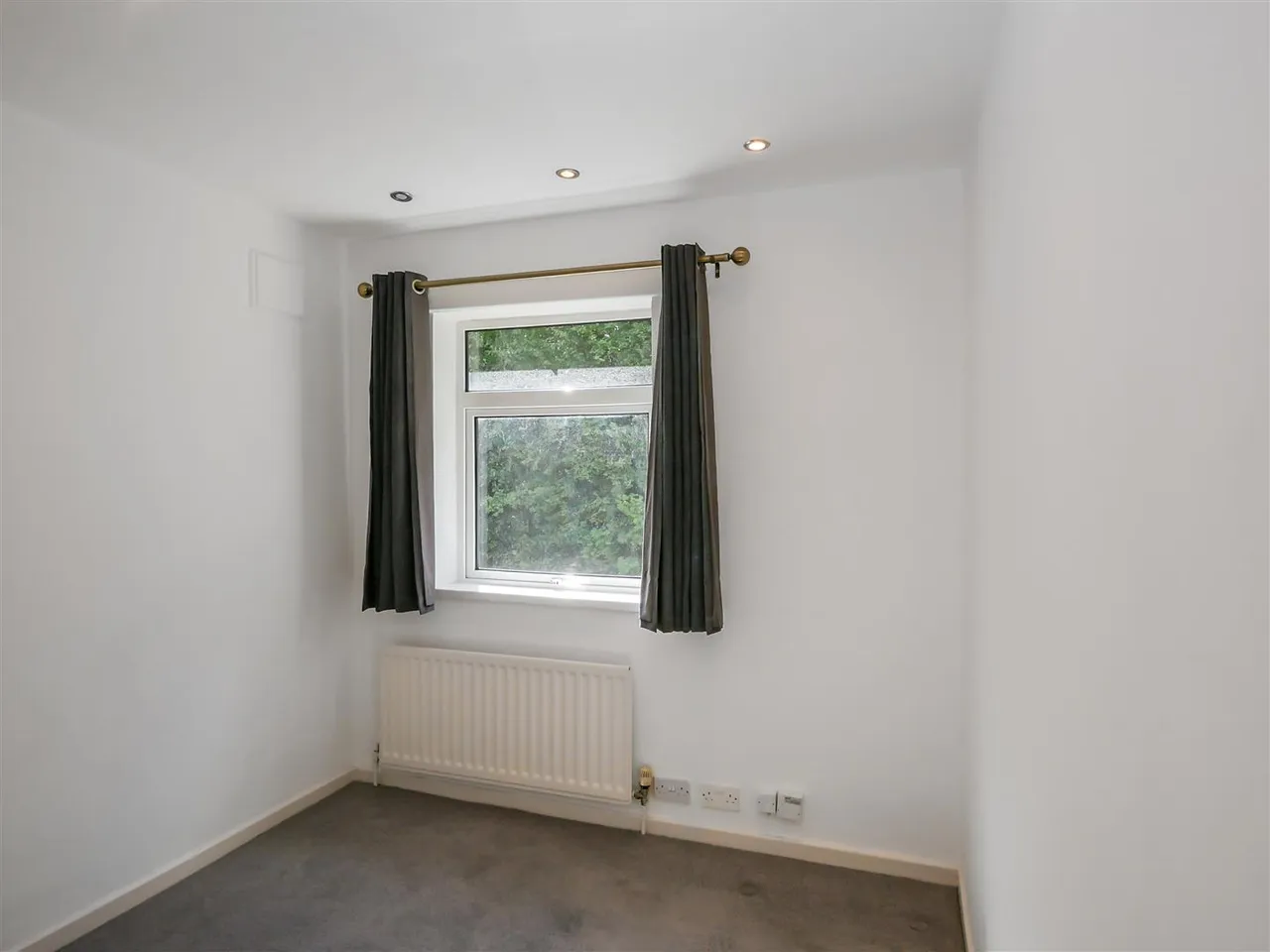 Willowbank Drive, Rosetta, BT6, photo 17