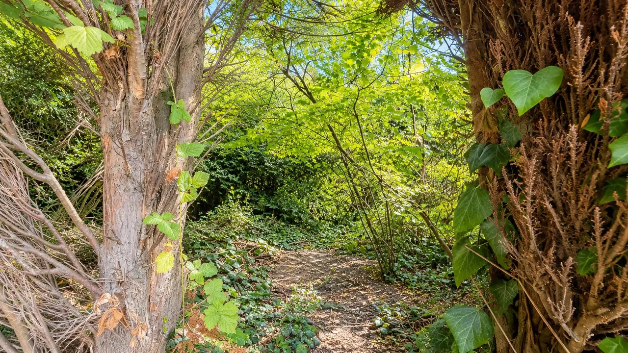 Granby Road, Luton, LU4, photo 16