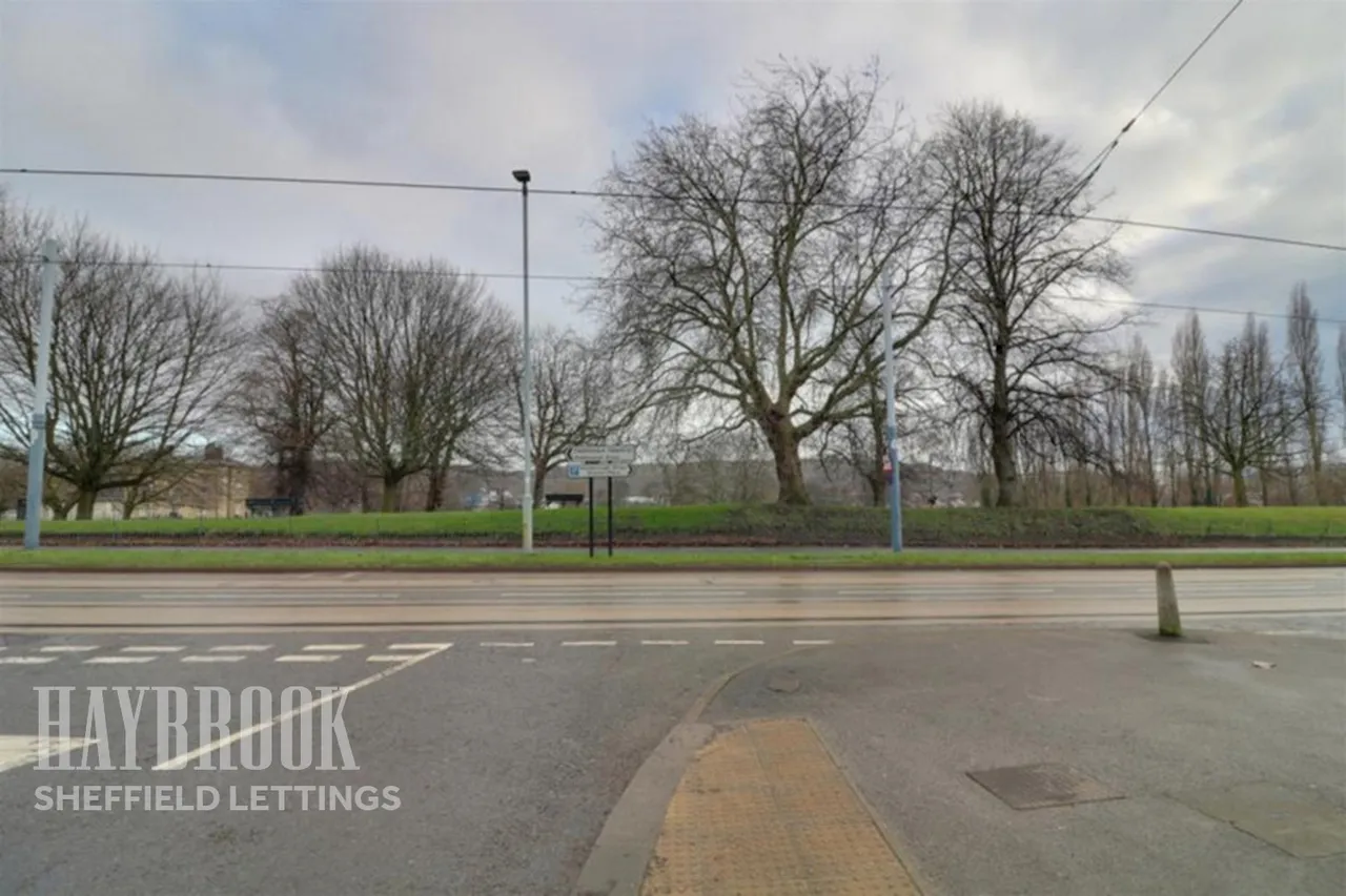 Hillsborough, S6, photo 10