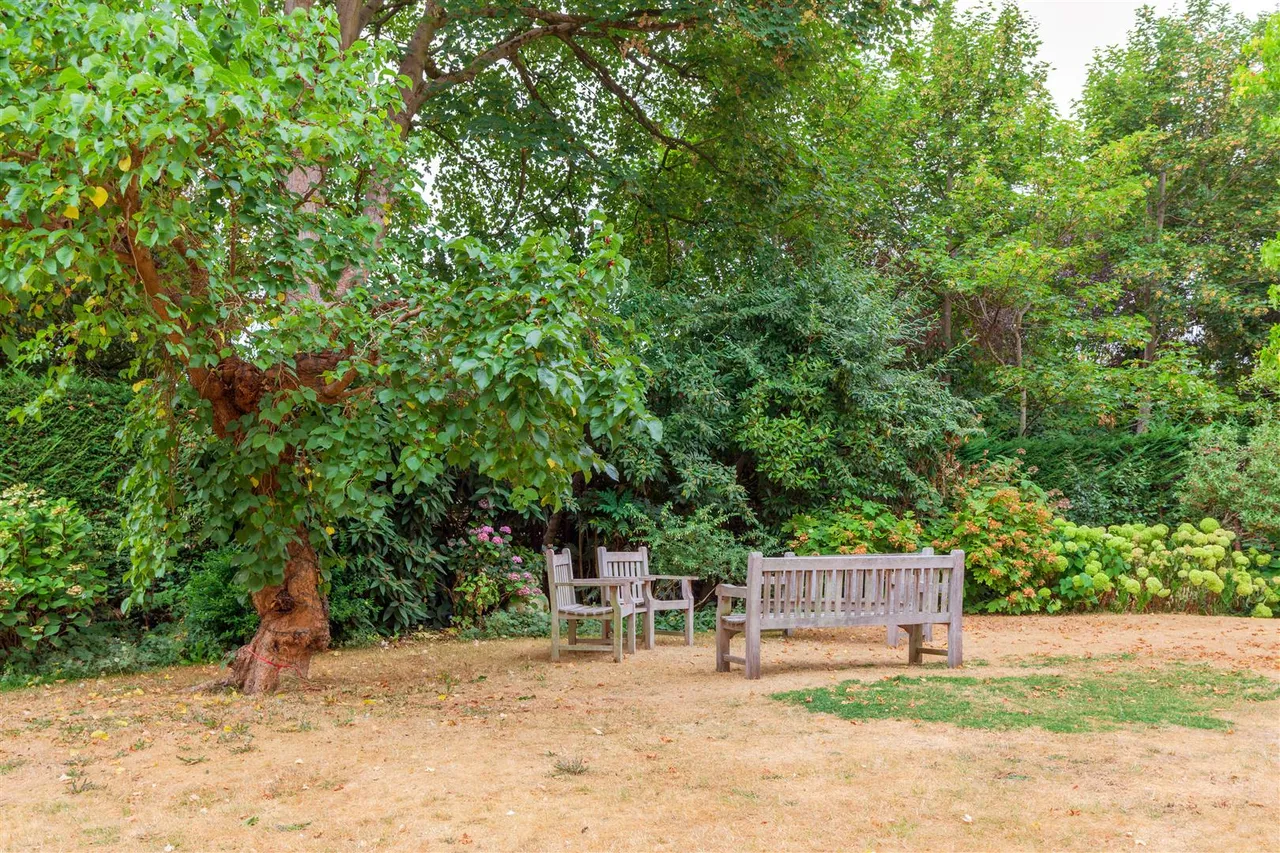 South Grove, Highgate, N6, photo 12