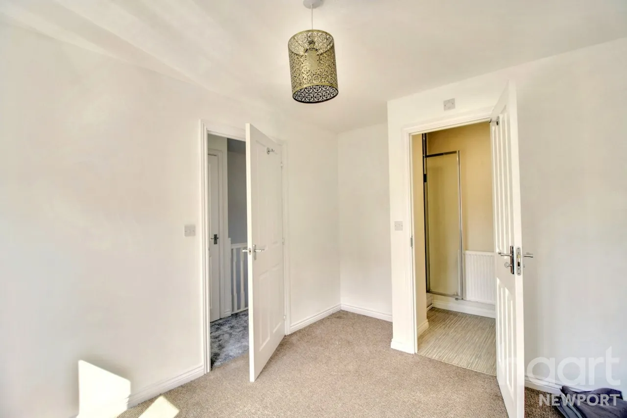 NP19, photo 18