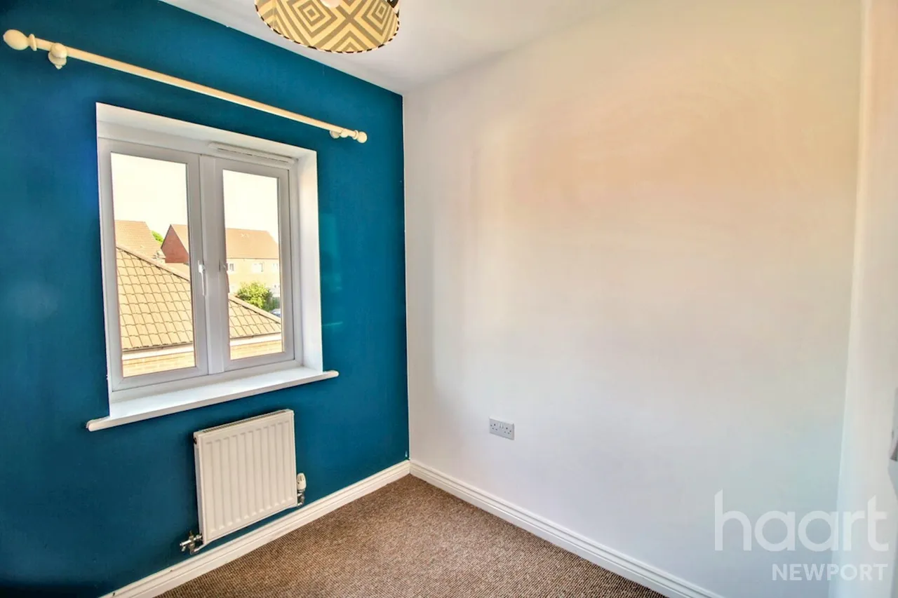 NP19, photo 13