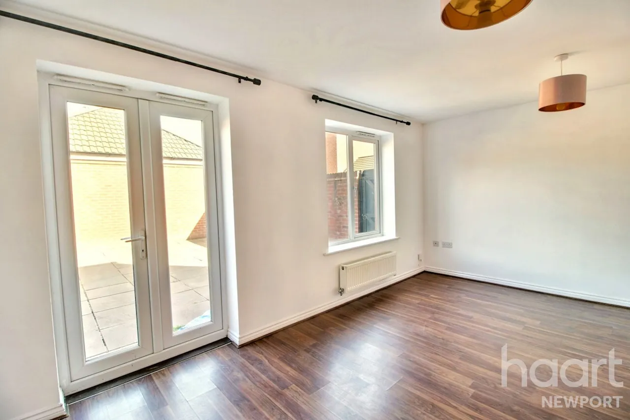 NP19, photo 10