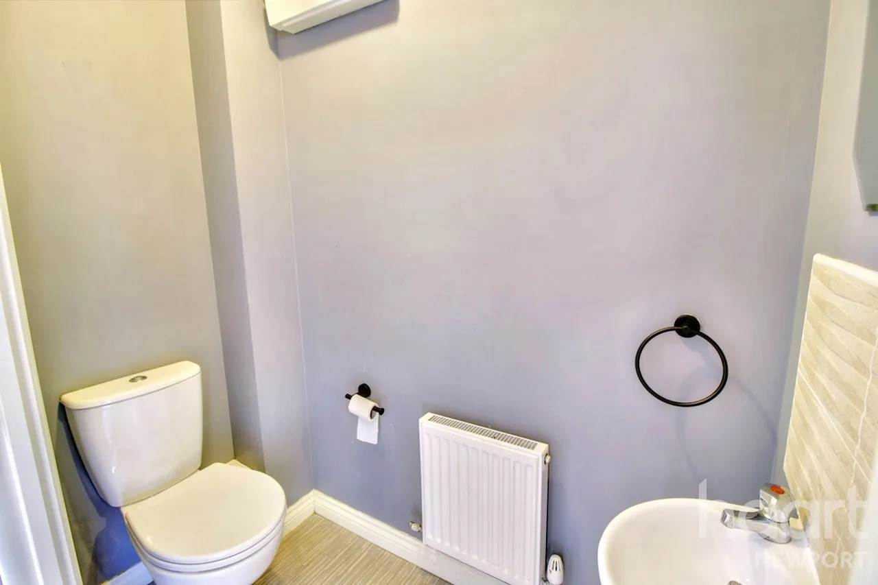 NP19, photo 4
