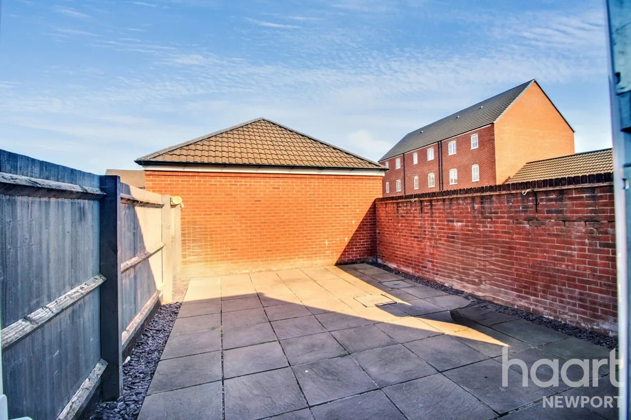 NP19, photo 11