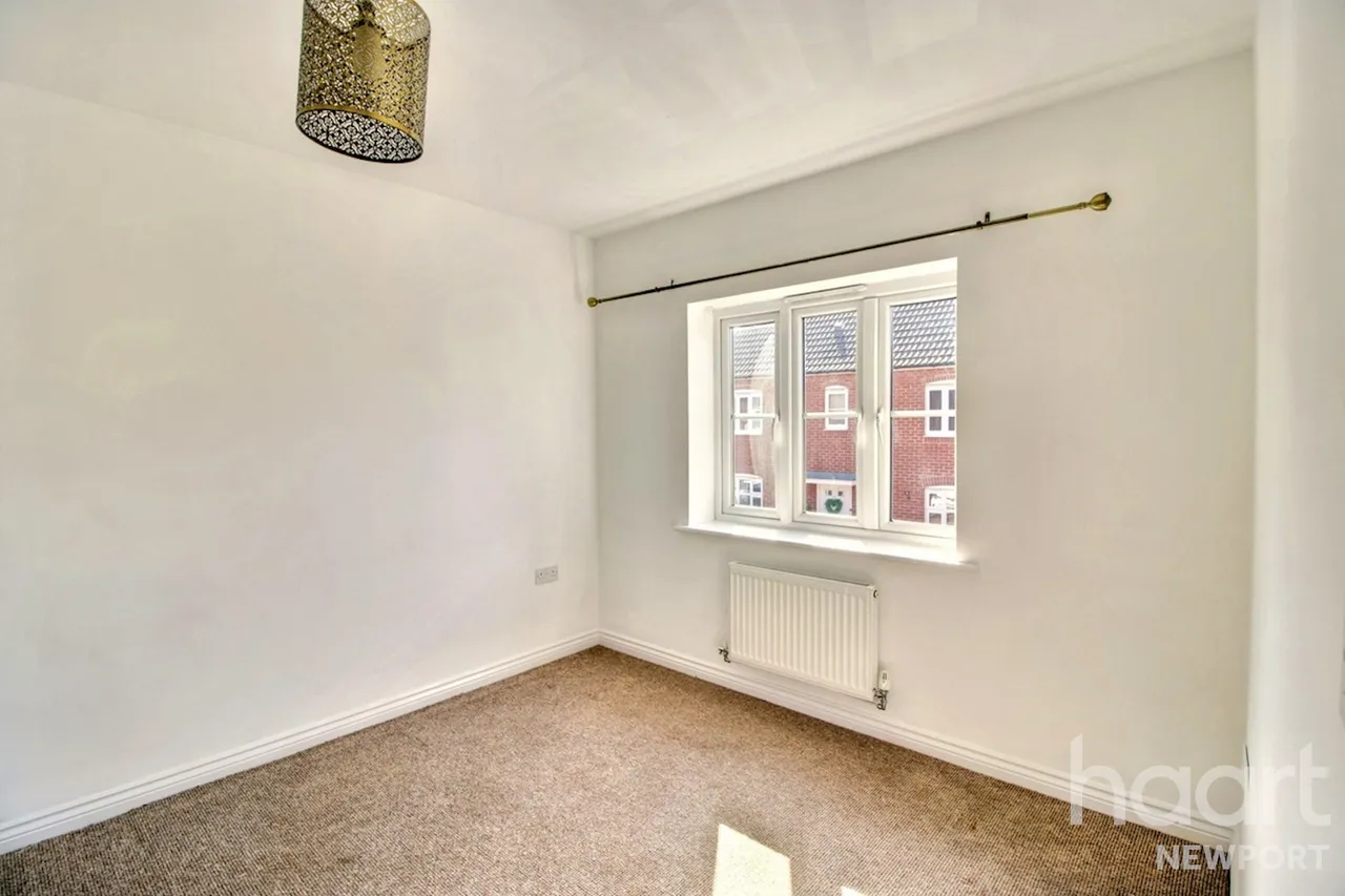 NP19, photo 16