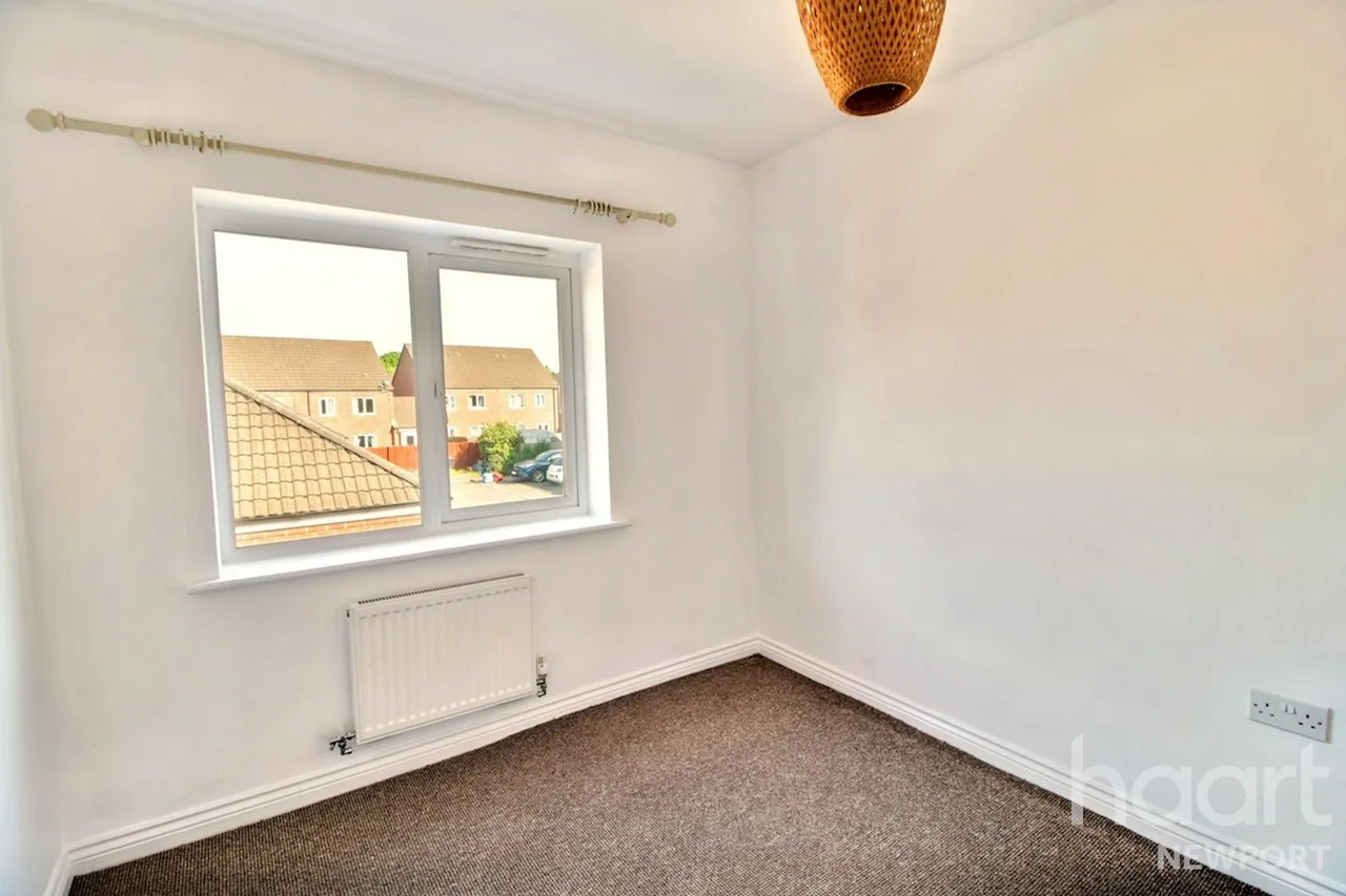 NP19, photo 14