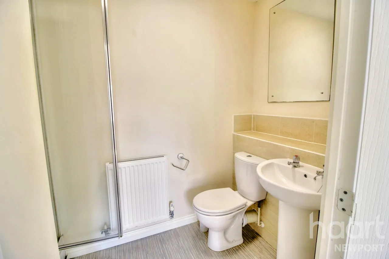 NP19, photo 19