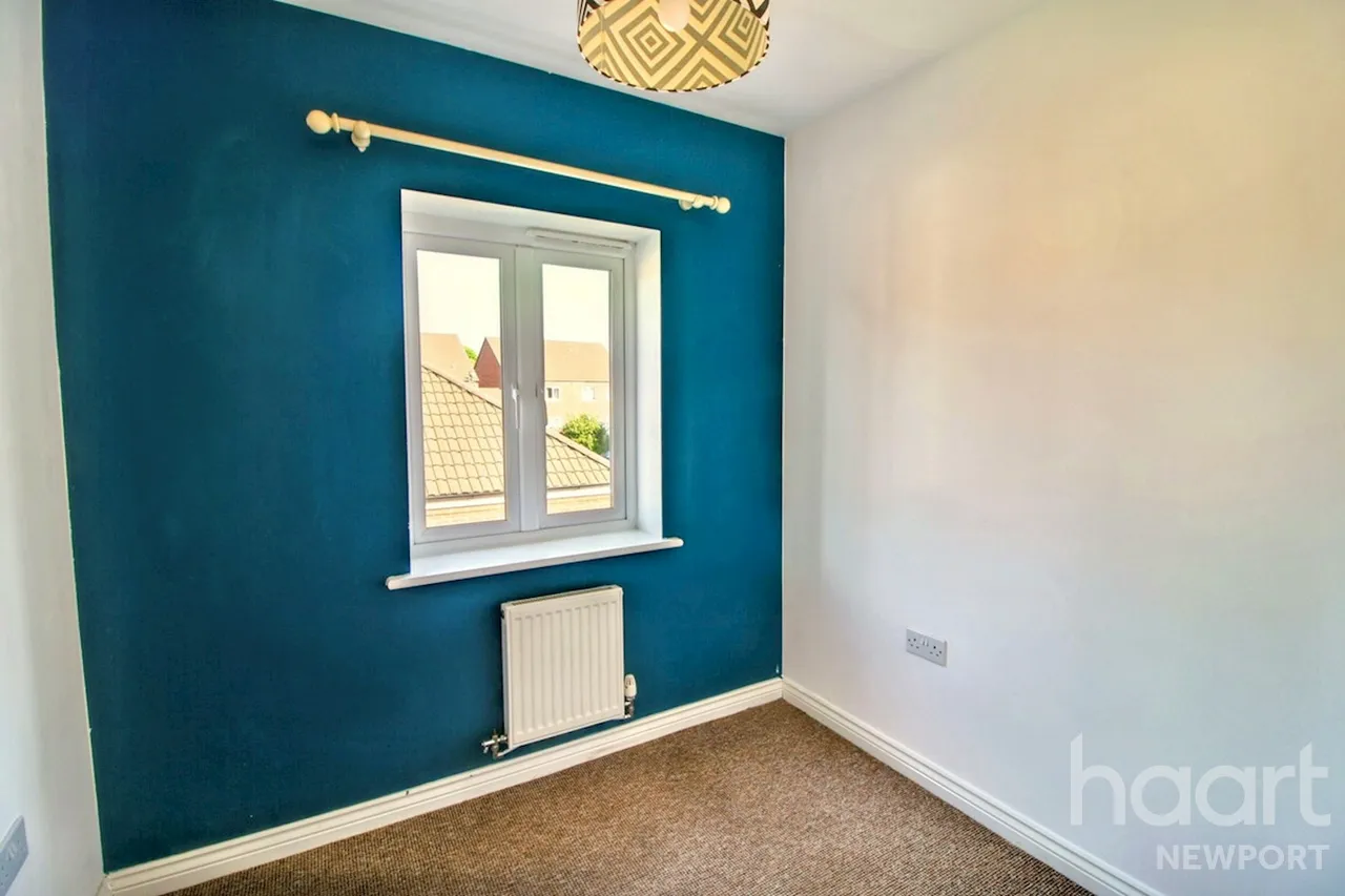 NP19, photo 12