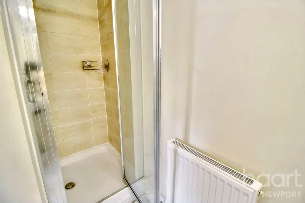 NP19, photo 20