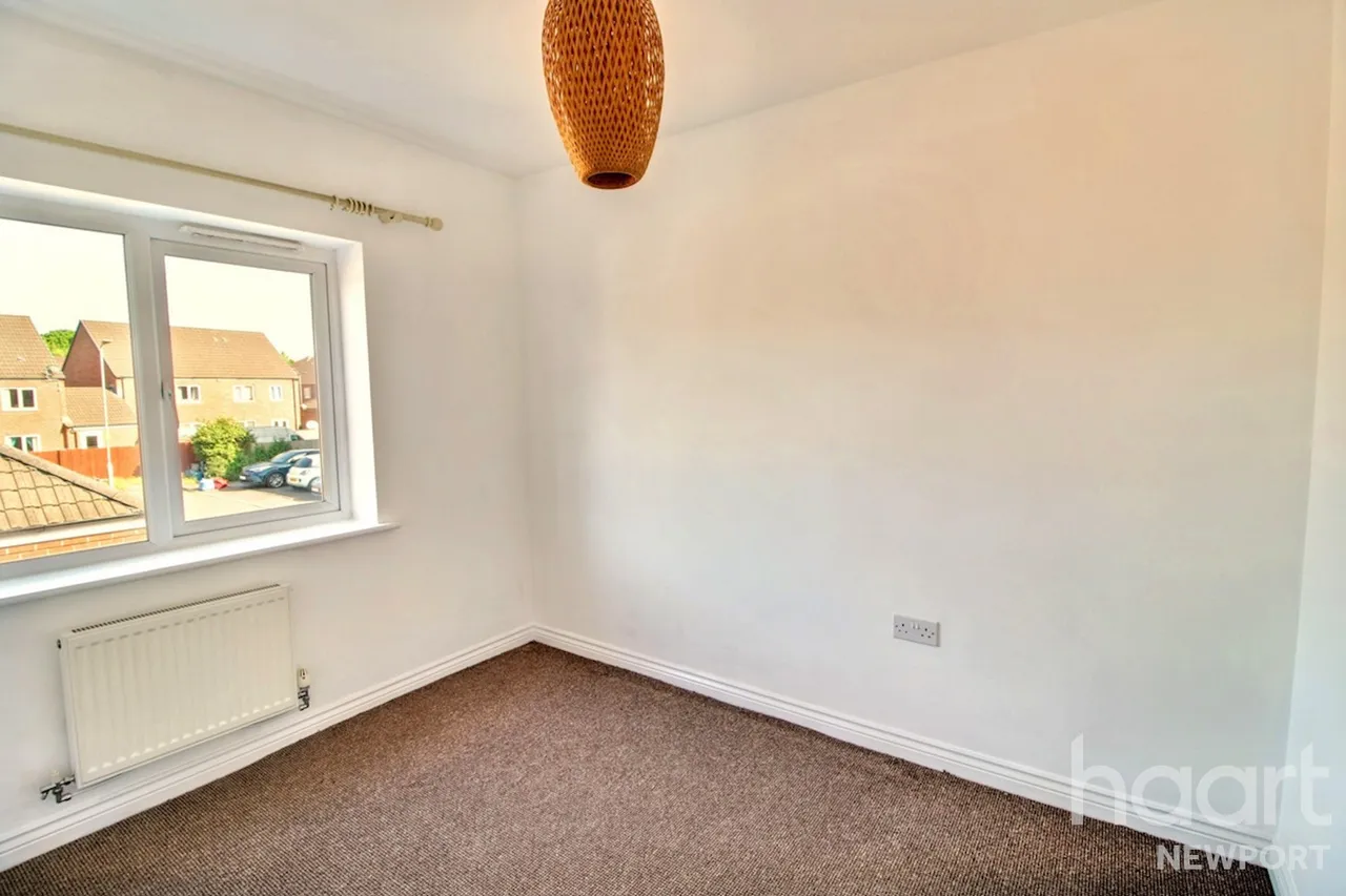 NP19, photo 15