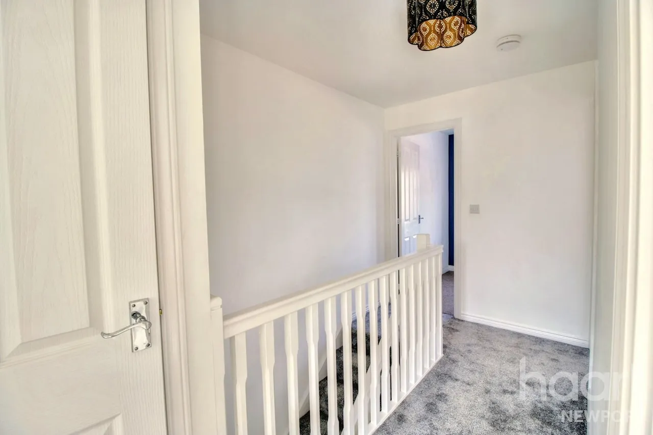 NP19, photo 23