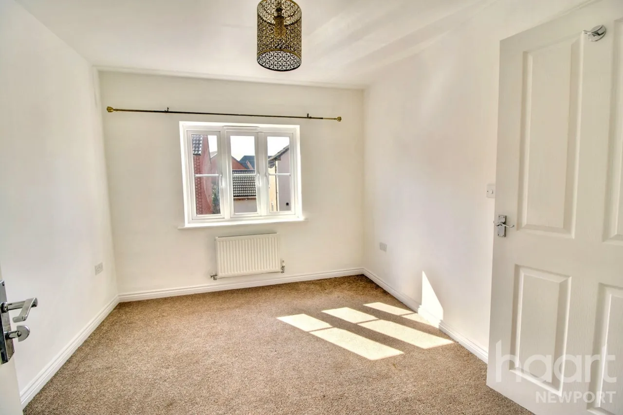 NP19, photo 17