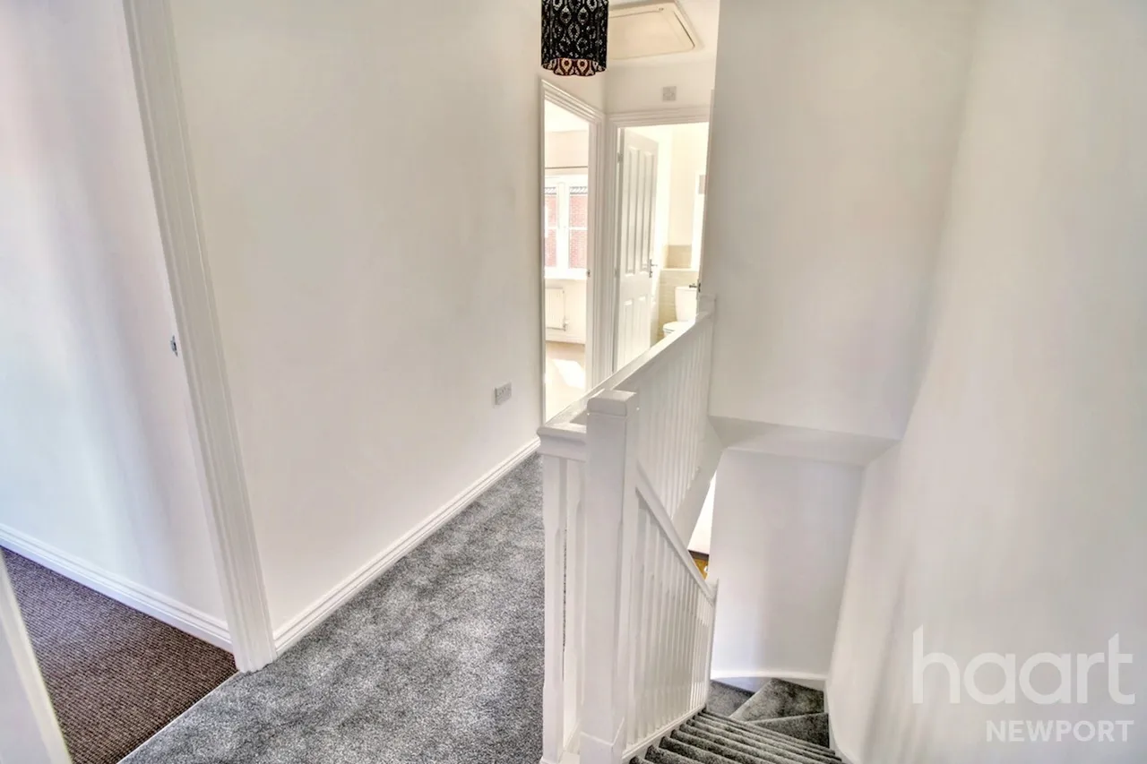 NP19, photo 24