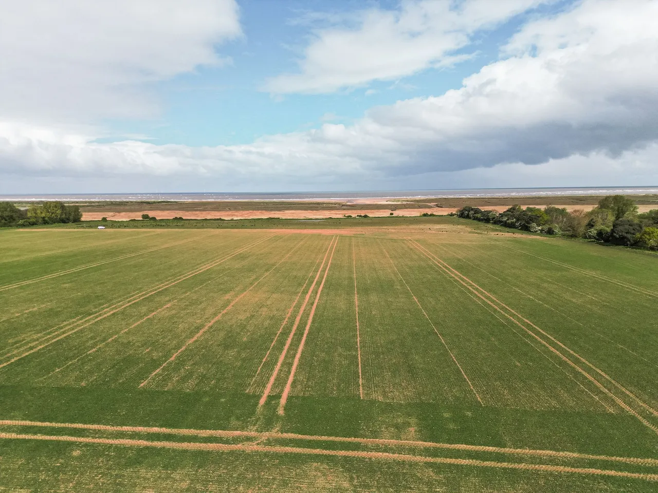 Titchwell, photo 9