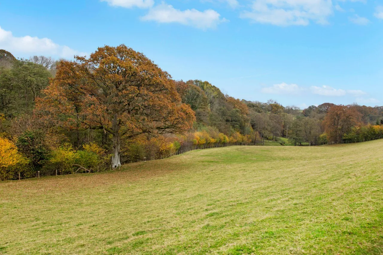 The Michaelchurch Estate, Michaelchurch Escley, Hereford, Herefordshire, HR2 0PT, photo 10