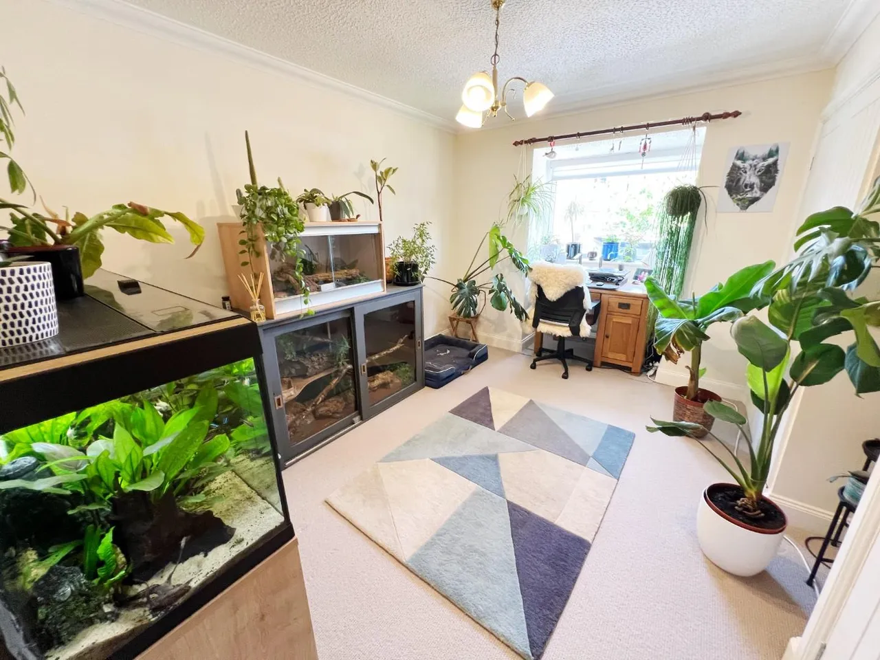 Greenhills, Byers Green, DL16, photo 13