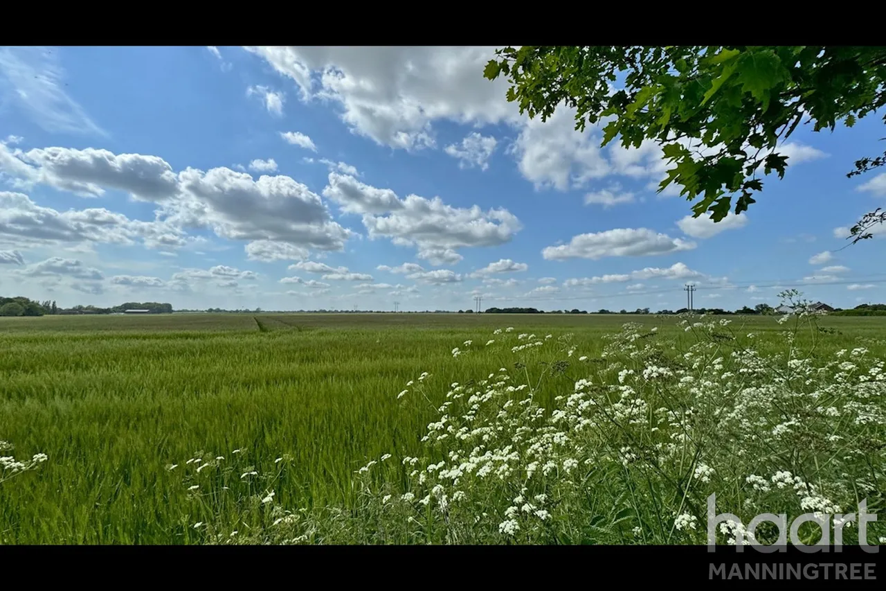 Clacton Road, Horsley Cross, CO11, photo 16
