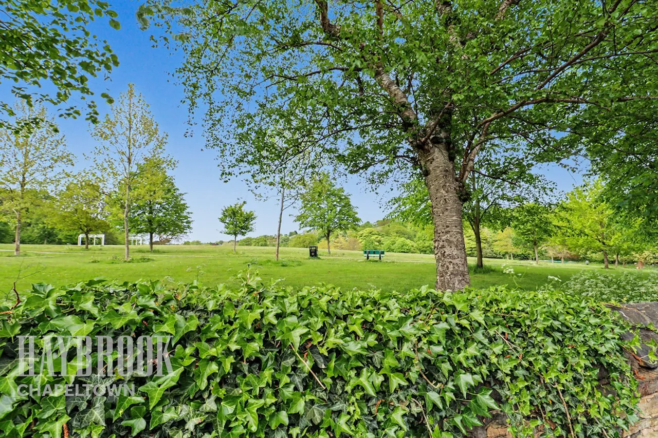 Vivian Road, Firth Park, photo 6