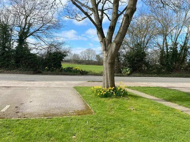 Cromes Place, Badersfield, Norwich, Norfolk, NR10, photo 21