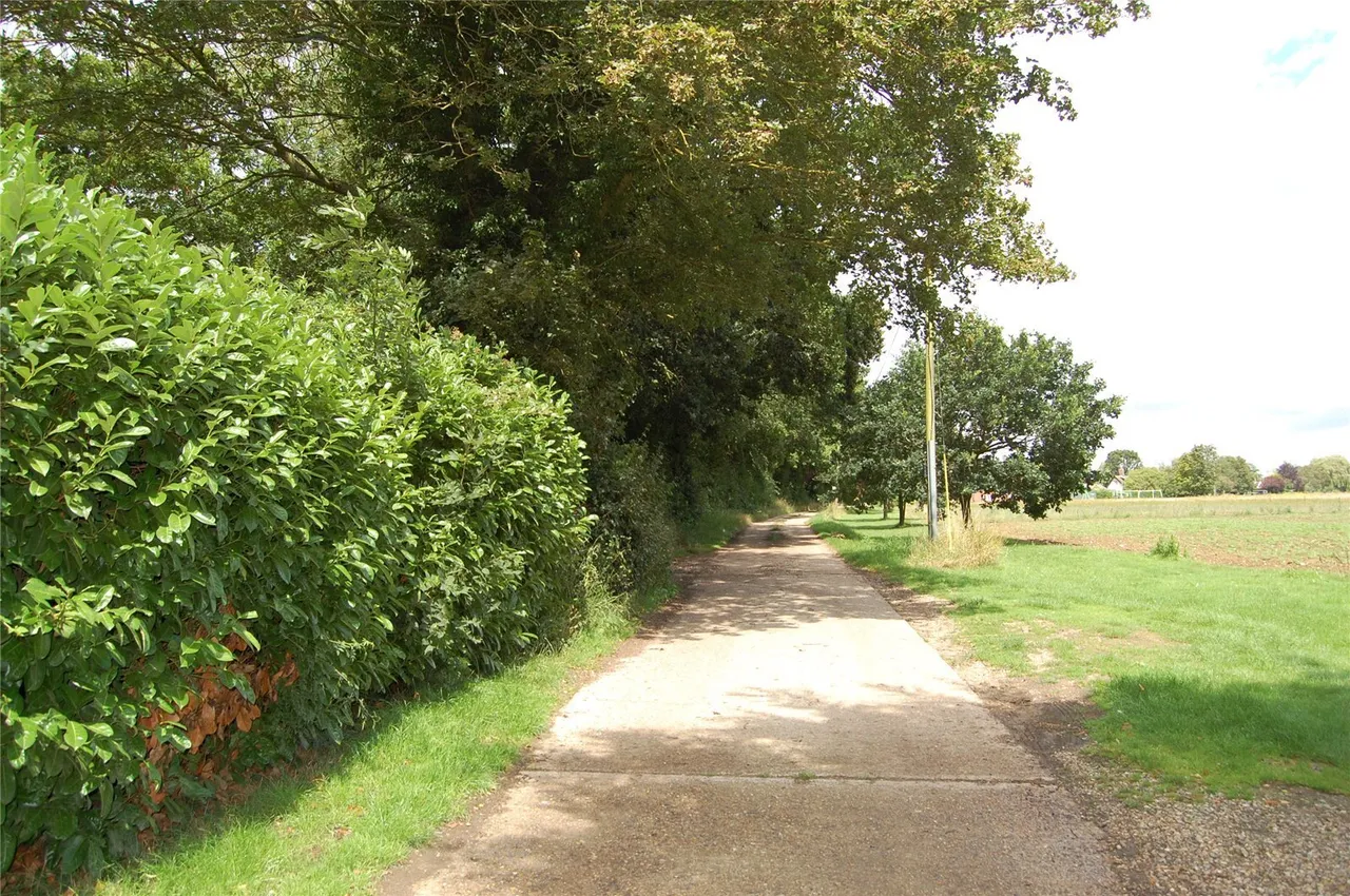 The Street, Brettenham, IP7, photo 5
