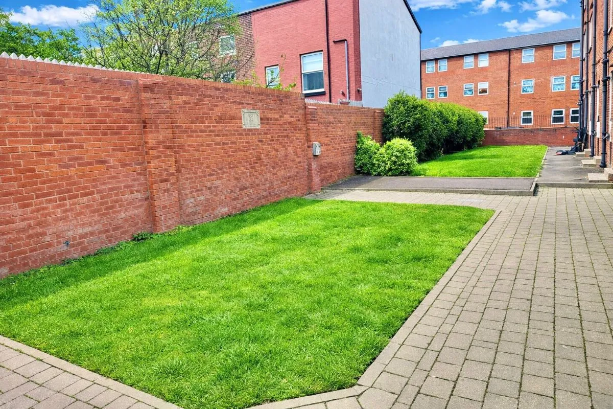 Wilkinson Street, photo 16