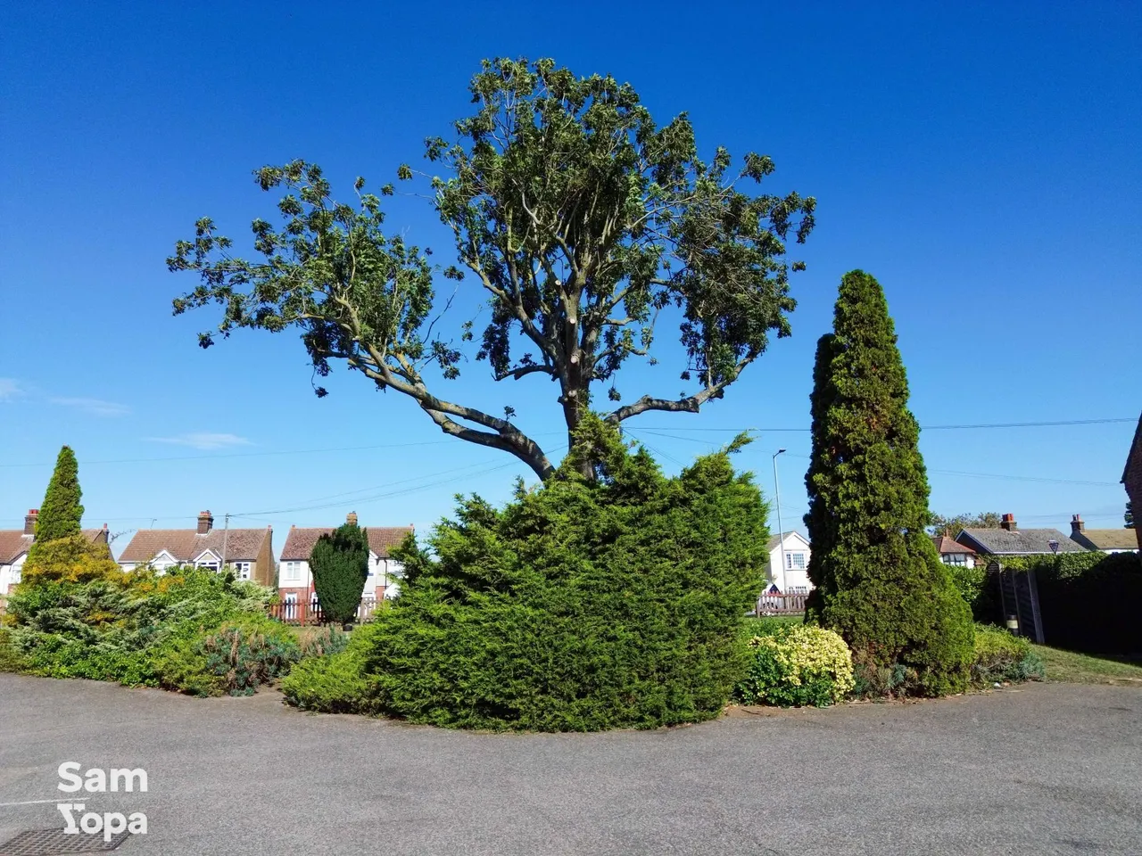 Main Road, Harwich, CO12, photo 12