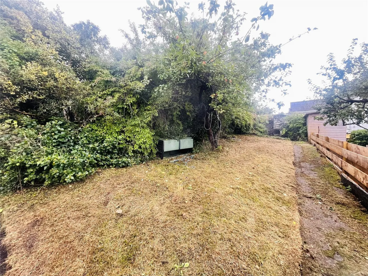 Ivy Terrace, Borth-y-Gest, LL49, photo 21