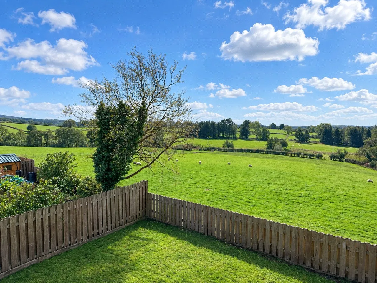 Dolydd Pentrosfa, Llandrindod Wells, LD1, photo 19