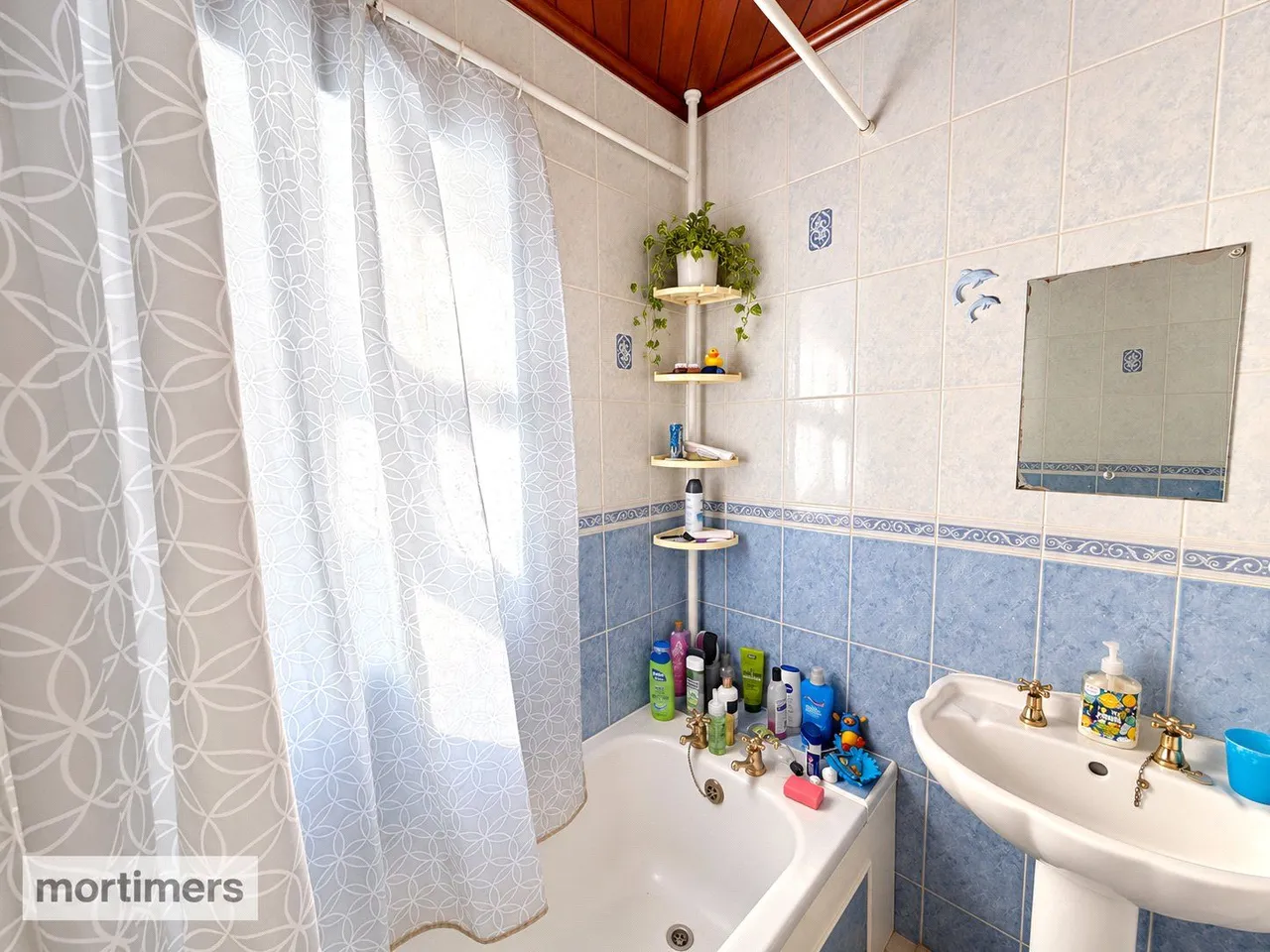Clifton Avenue, Accrington, BB5, photo 12