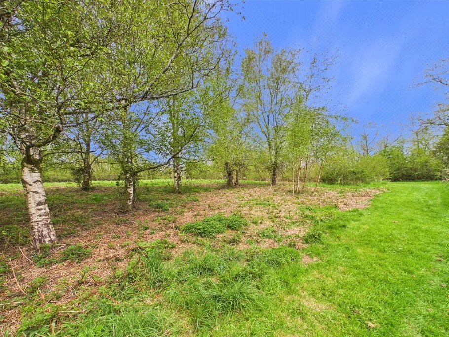 Winkleigh, EX19, photo 2