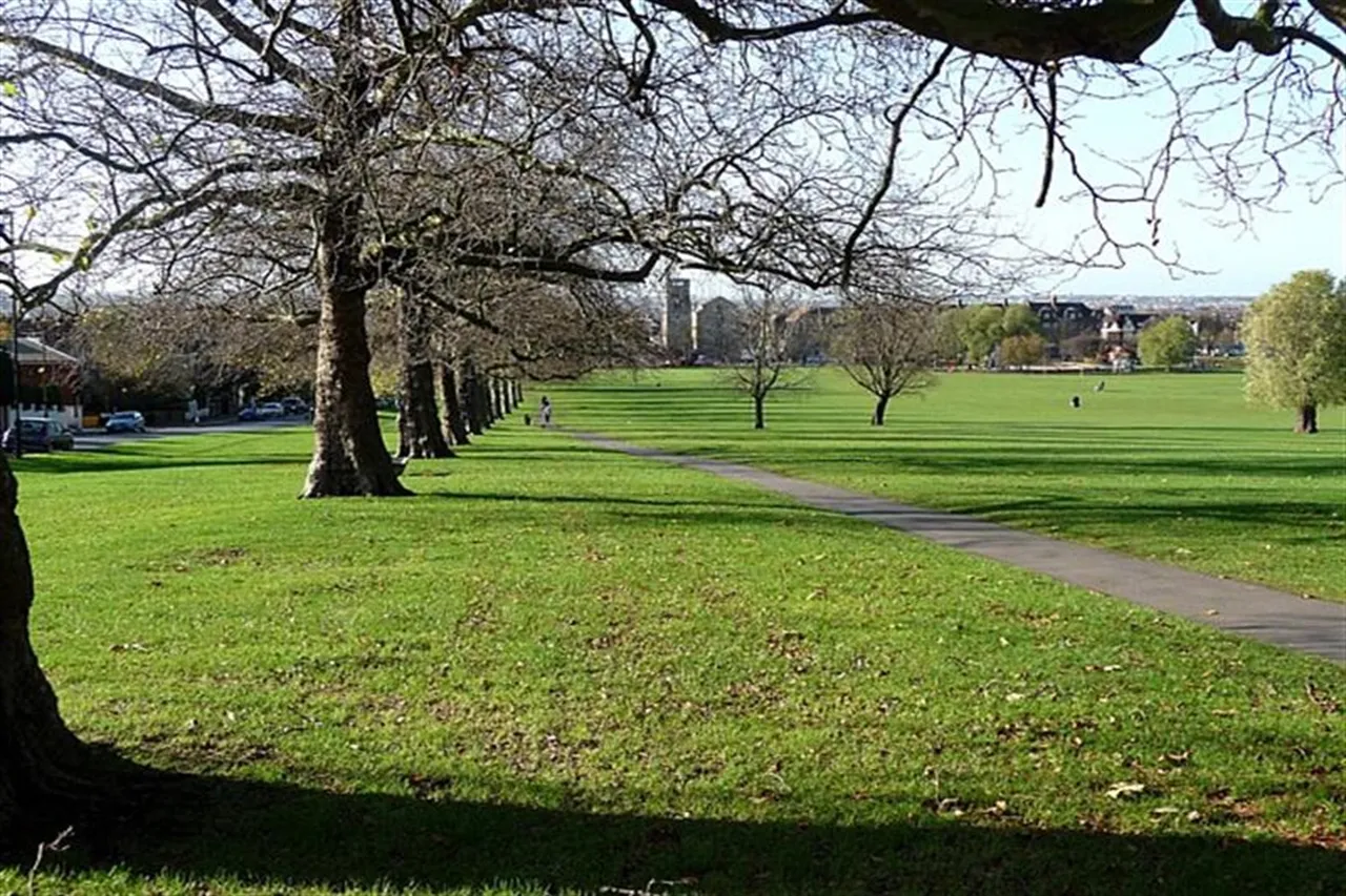 London, SW16 3PX, photo 11