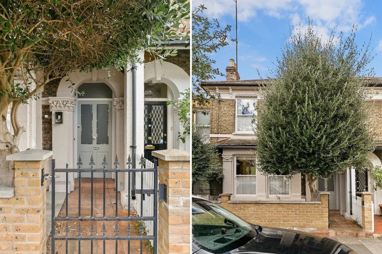 Henning Street, London, SW11, photo 19