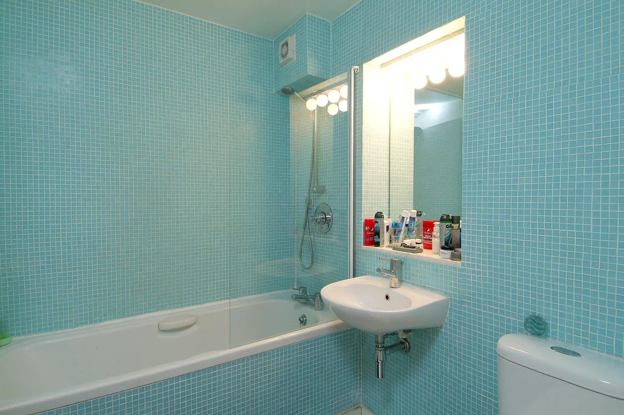 Vauxhall Bridge Road, London, SW1V, photo 4
