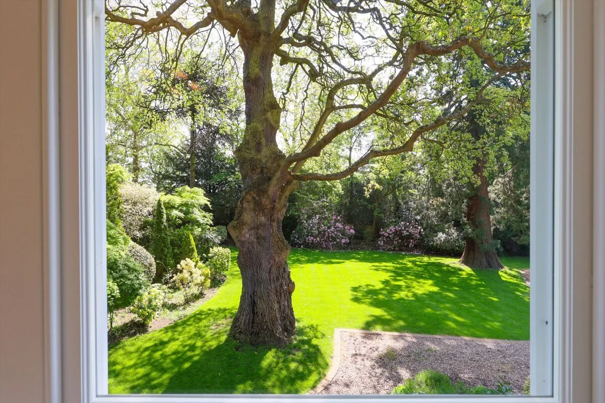 Woburn Hill, Addlestone, KT15, photo 22