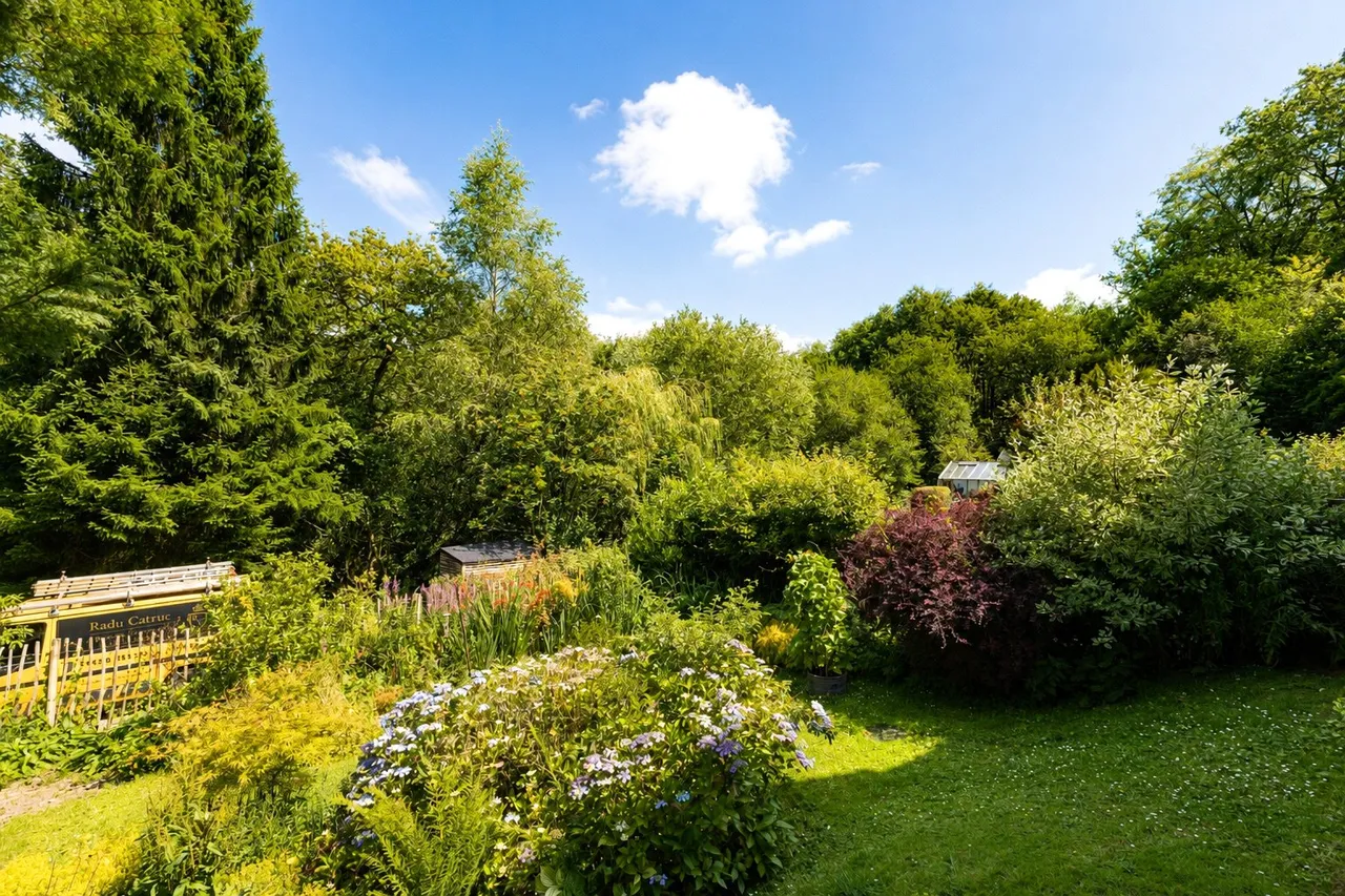 Whitmore Vale Road, Grayshott, GU26, photo 25