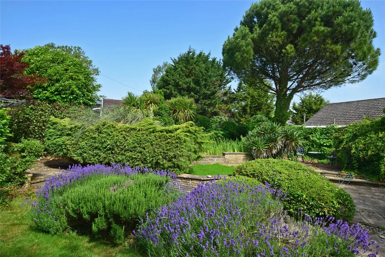 Fenny Bridges, Honiton, Devon, EX14 3BG, photo 18