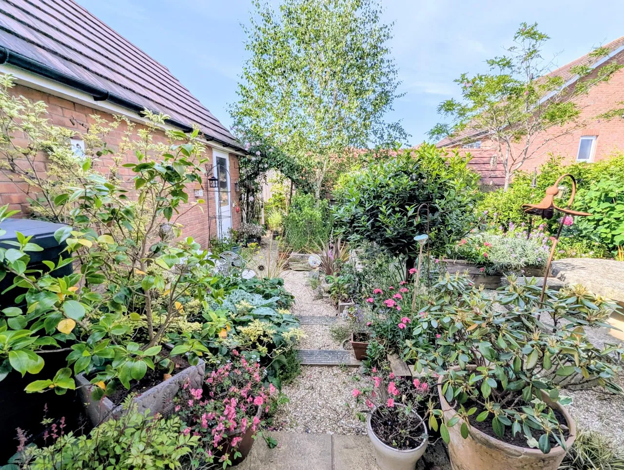 Primrose Drive, Newton Abbot, TQ12, photo 22
