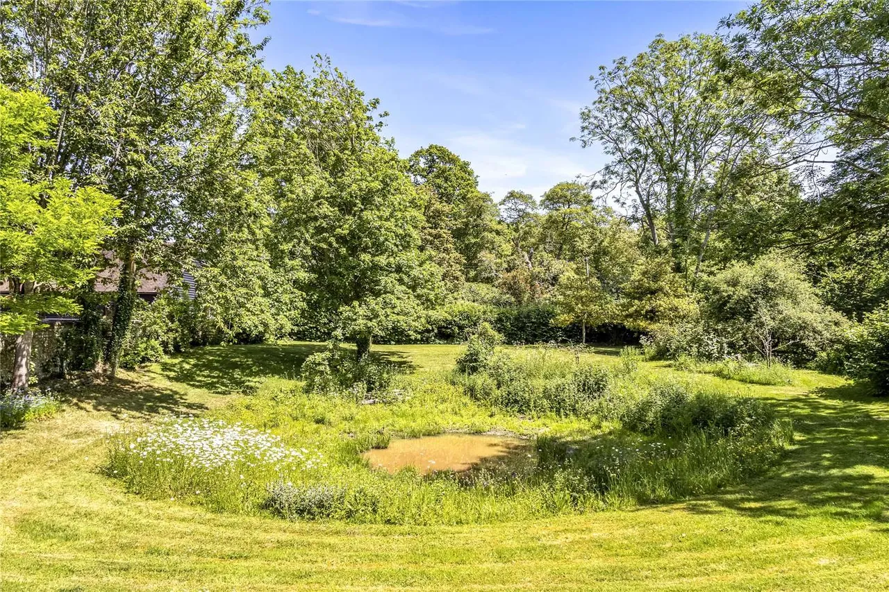 Pook Lane, East Lavant, Chichester, West Sussex, PO18 0AS, photo 9