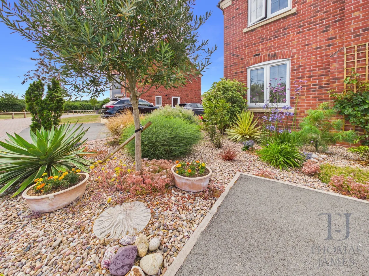 Kingcup Gardens, Ruddington, NG11, photo 24