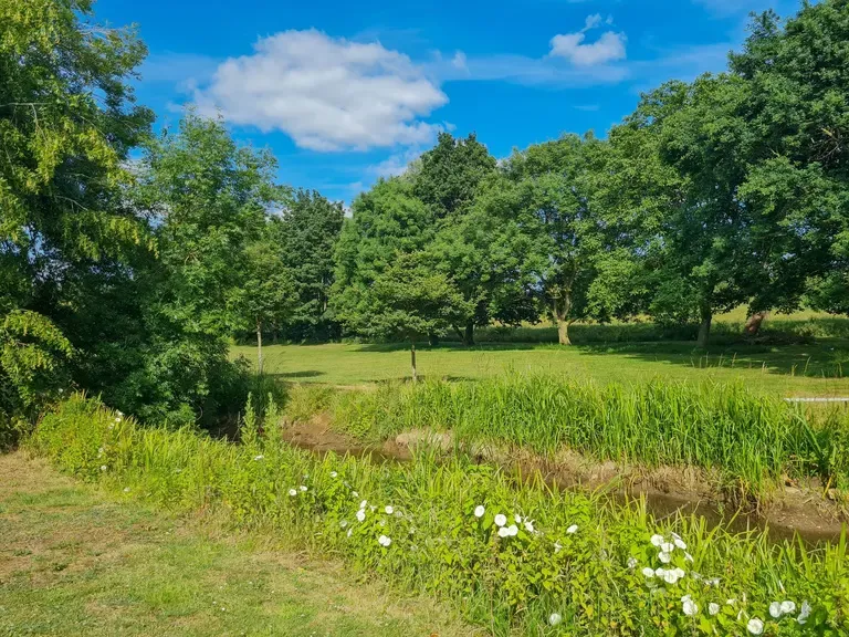 Downside Gardens, Potton, SG19, photo 15