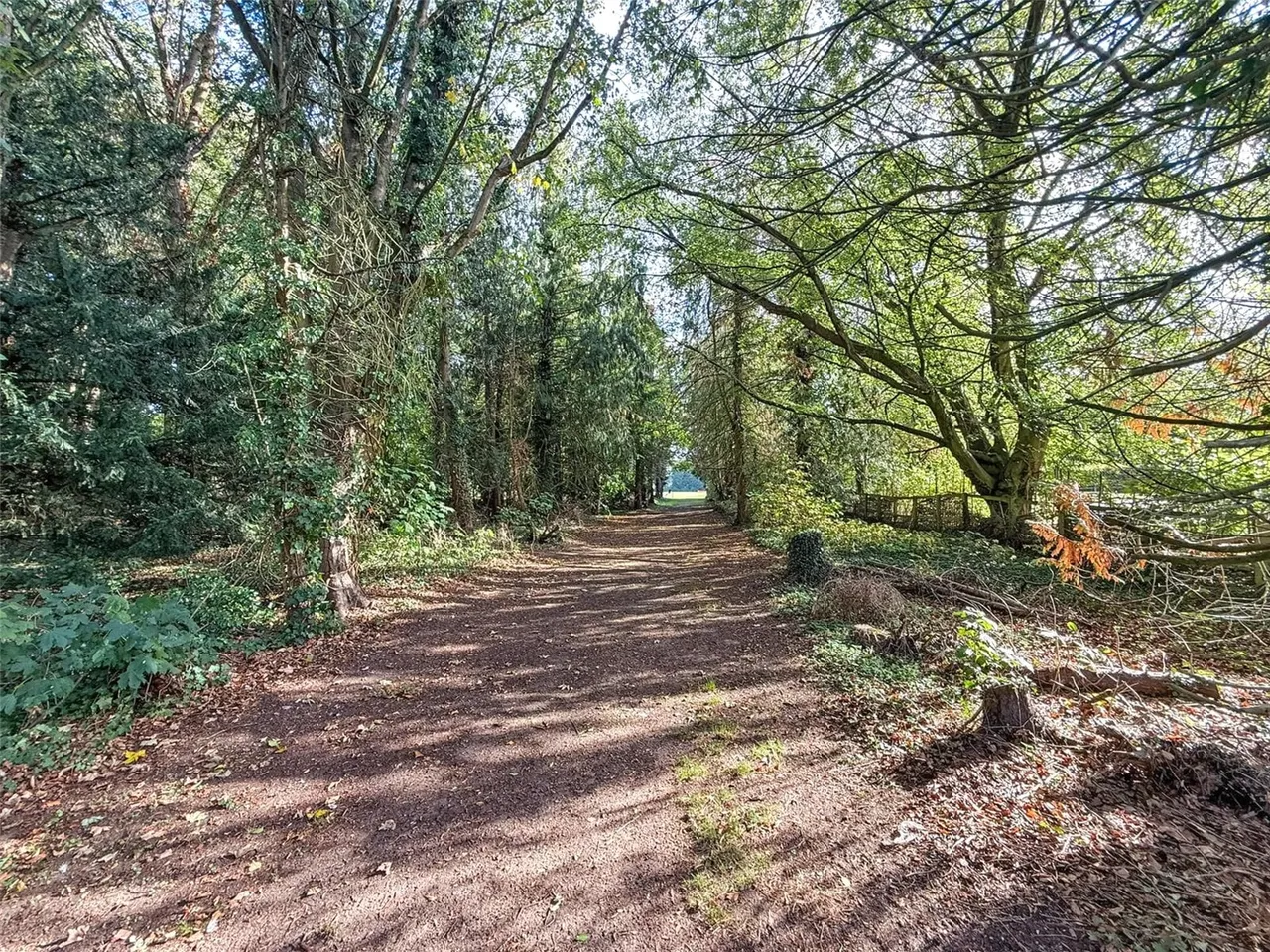 Bury Road, Thurlow, CB9, photo 17